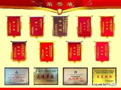 大成集团广吉项目获“国家优质工程奖”