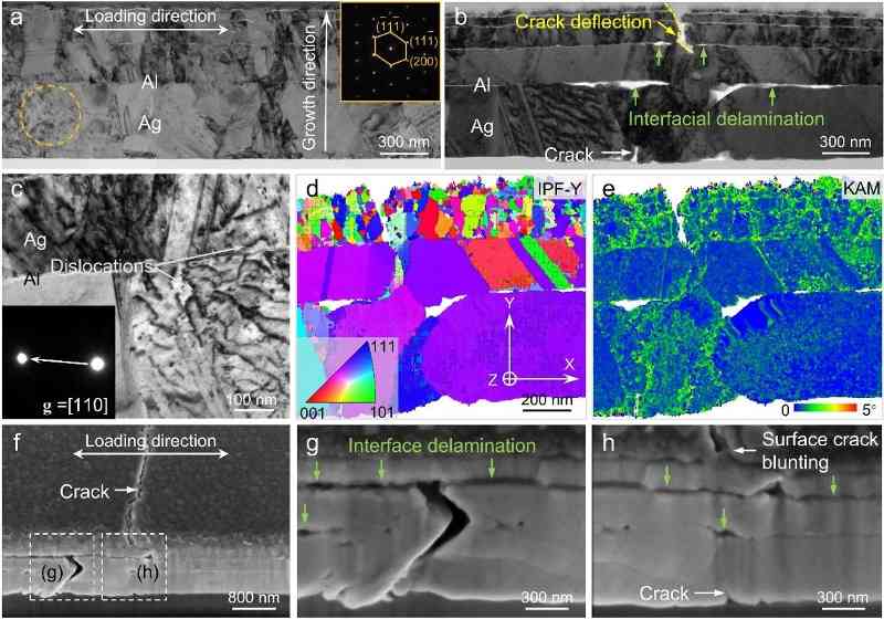 西安交大科研团队在抗疲劳金属薄膜导体领域取得新进展